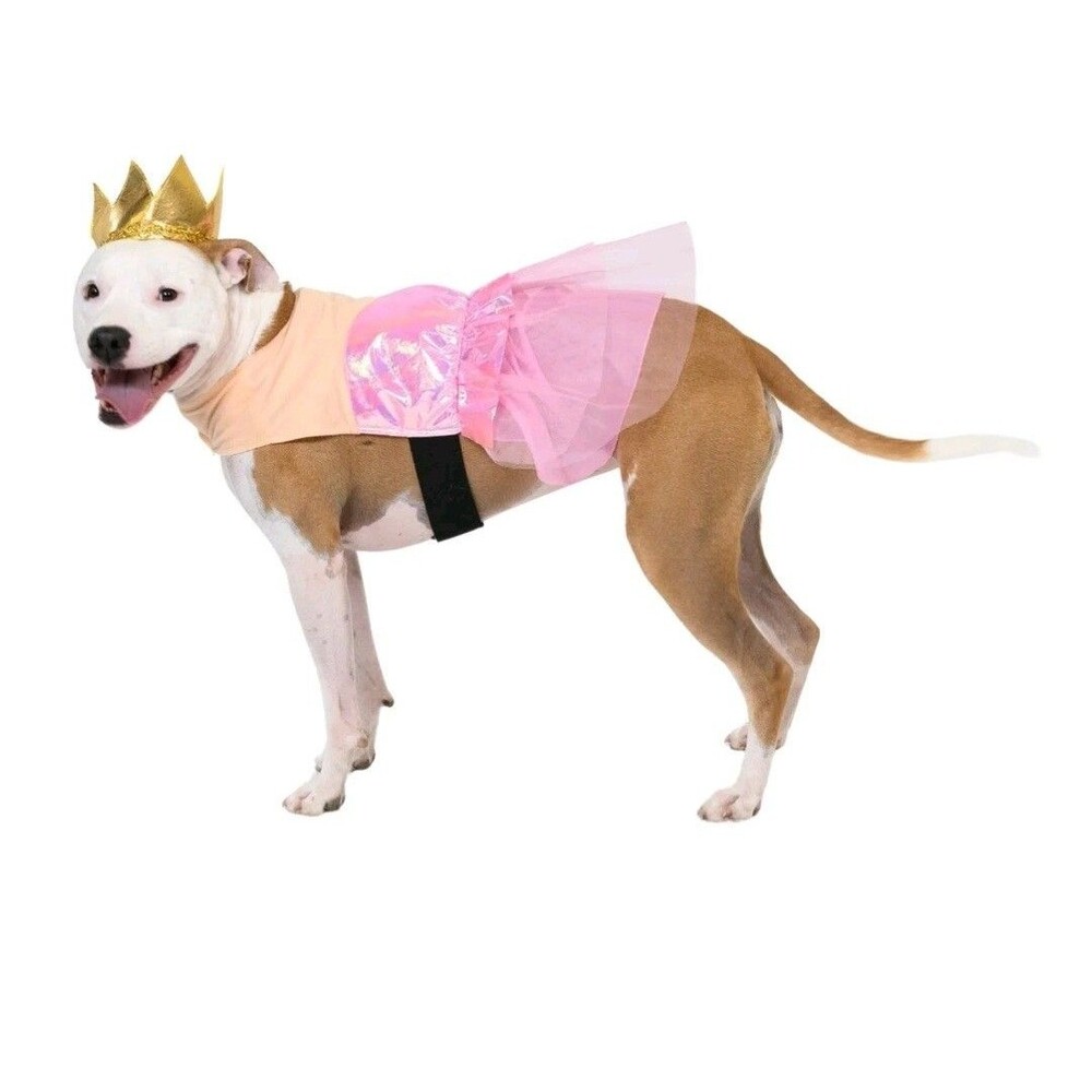 Vibrant Life Good Witch Dog/Pet Halloween Costume Hat & Outfit Size M (20-50Lbs)